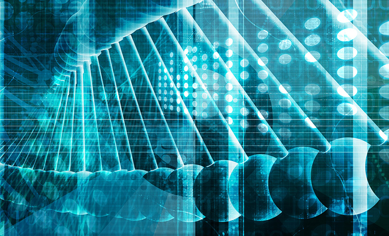Targeted Metagenomics Sequencing
