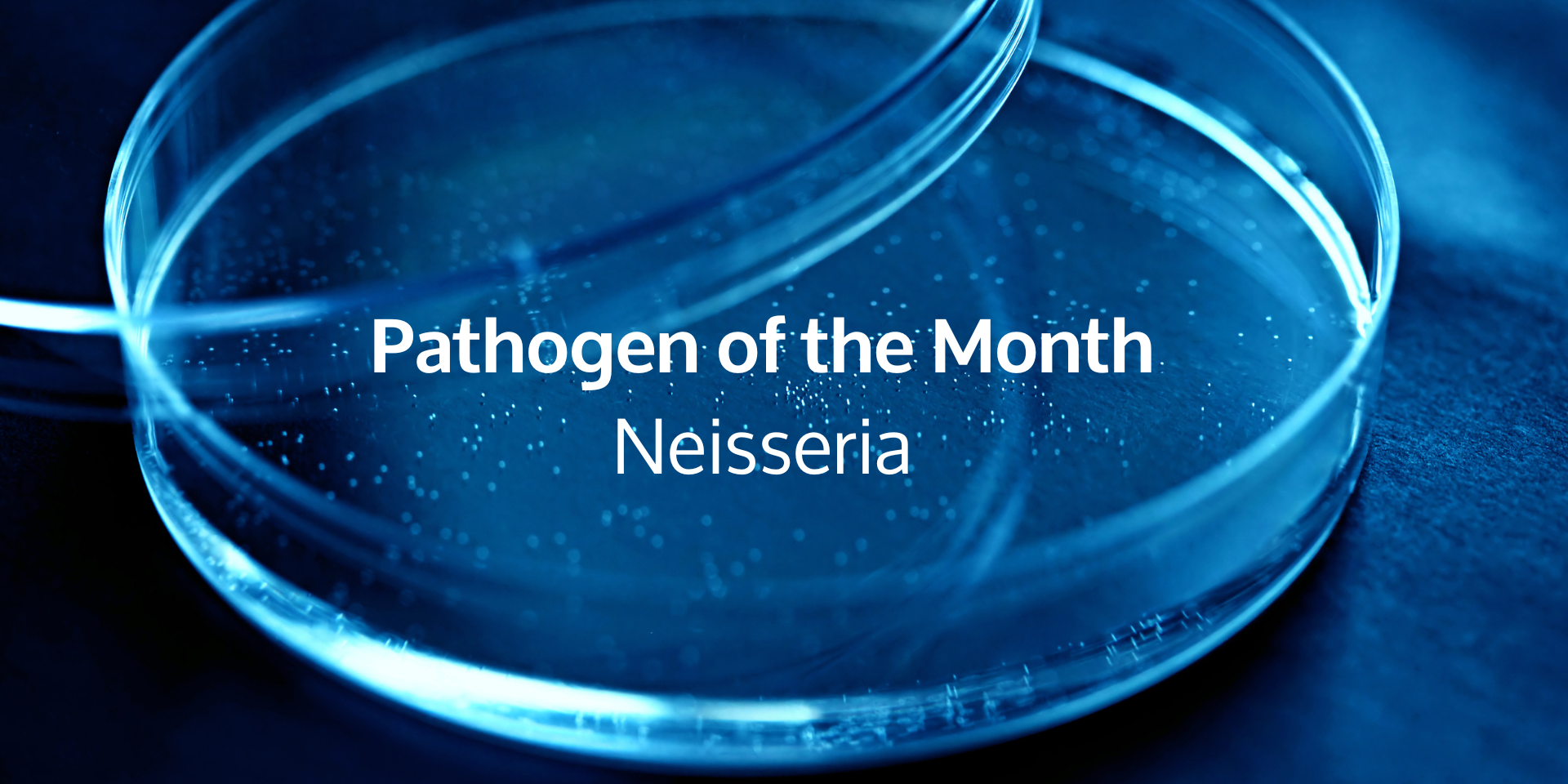 Pathogen of the Month: Neisseria