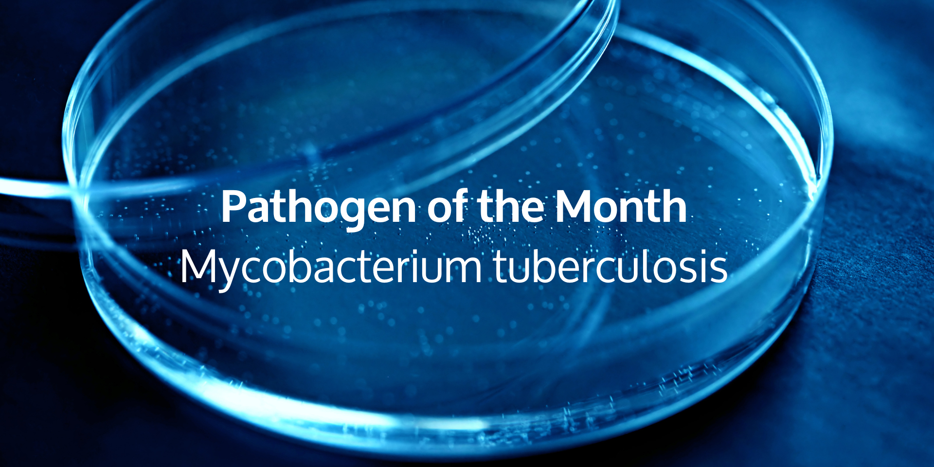 Pathogen of the Month: Mycobacterium tuberculosis